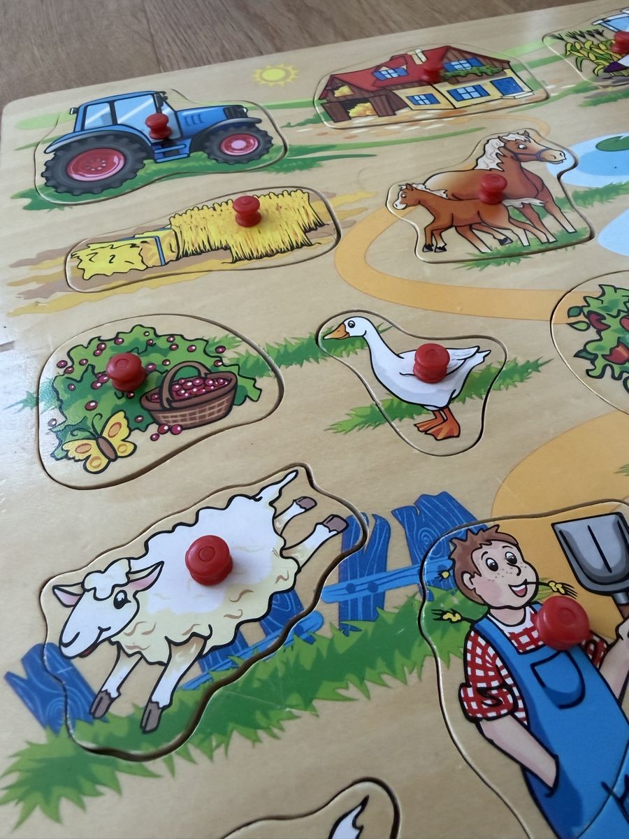 Eichhorn Puzzle: Eichhorn Steckpuzzle – Usato da Interlaken venduto da fbnscl 2