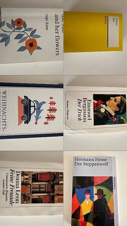 Livres: Verschiedene Bücher – D'occasion à Friltschen par car_n5y6 3