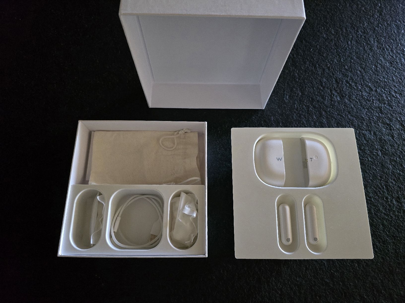 Cuffie: Timekettle - WT2 Wearable Translator – Usato da Jens venduto da Classic888 3