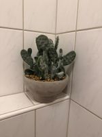 Kunstpflanze Kaktus in Betontopf Dekoration gebraucht