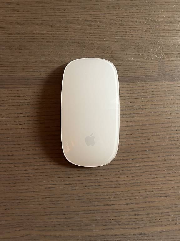 Mouse: Apple Magic Mouse – Usato da Unterägeri venduto da Check_2 3