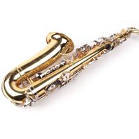Alt Saxophon 2 farbig, Messing + Chrom mit Koffer, Neu