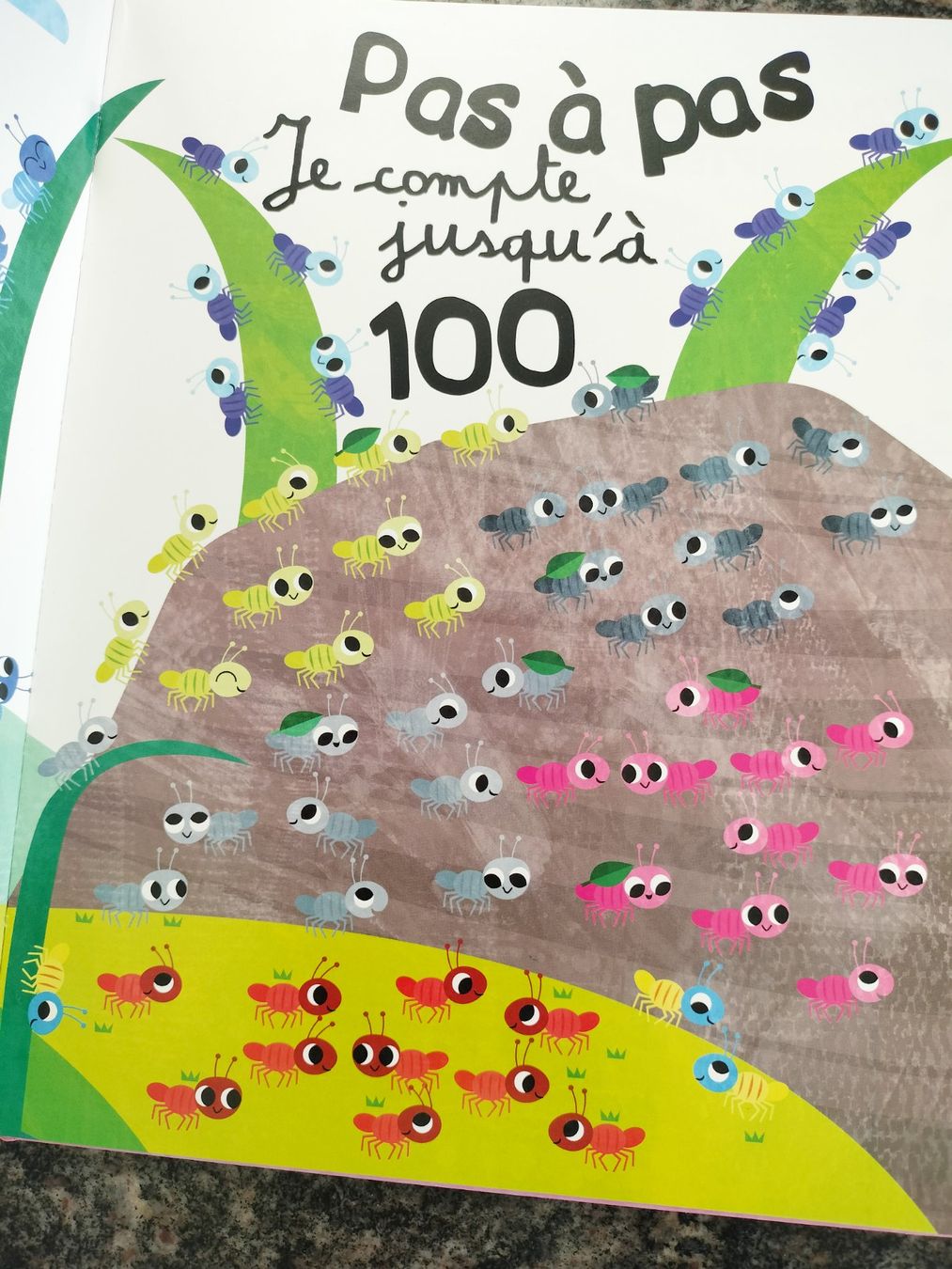 Bücher: Pas A Pas Je Compte Jusqu A 100 – Gebraucht aus Cortaillod von rozinna 1