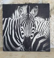 Zebra Bild Leinwand schwarz weiss 