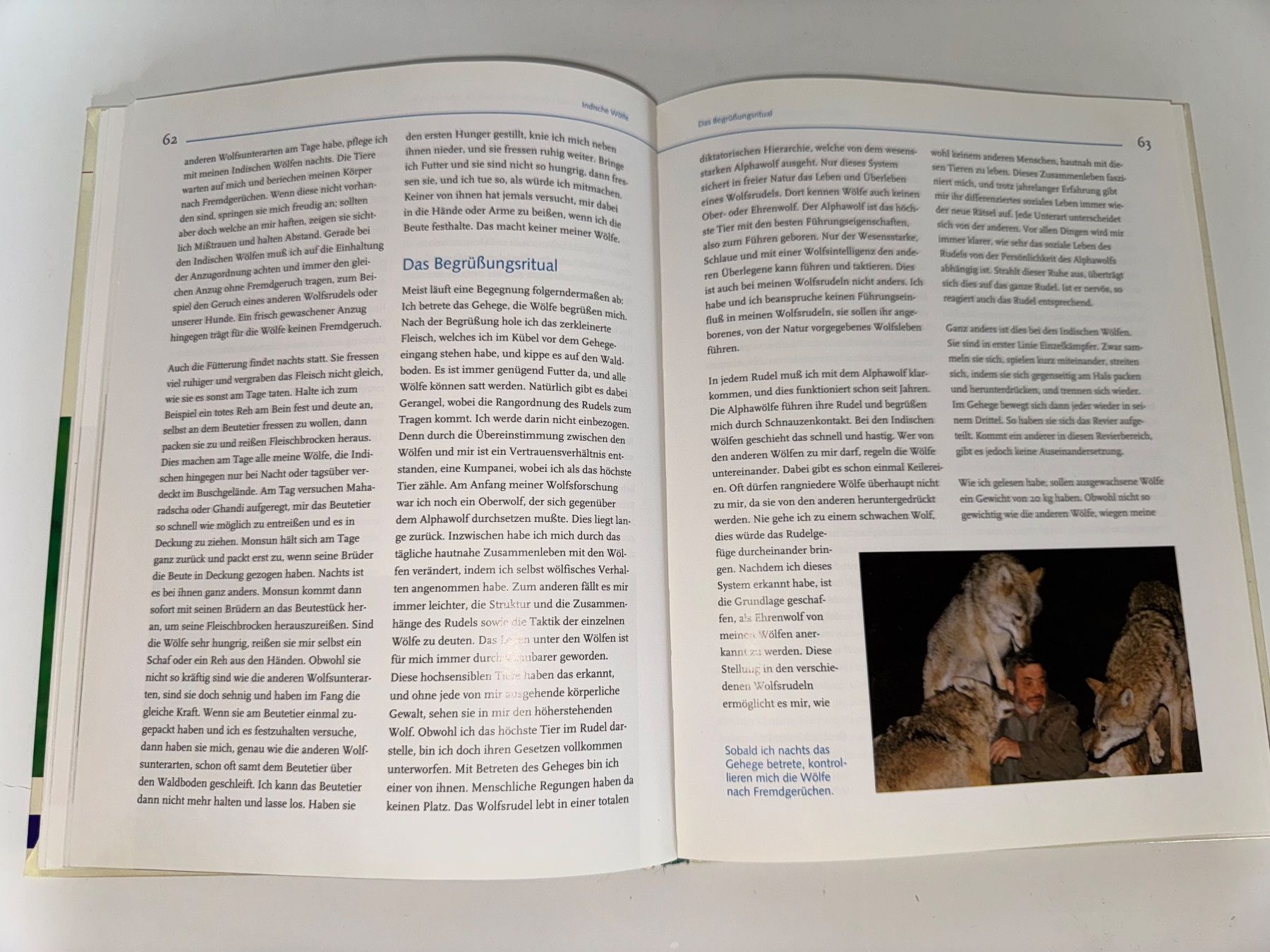 Libri: Buch: Wolf unter Wölfen, Werner Freund – Usato da Grosswangen venduto da Second_hand_paradise 4