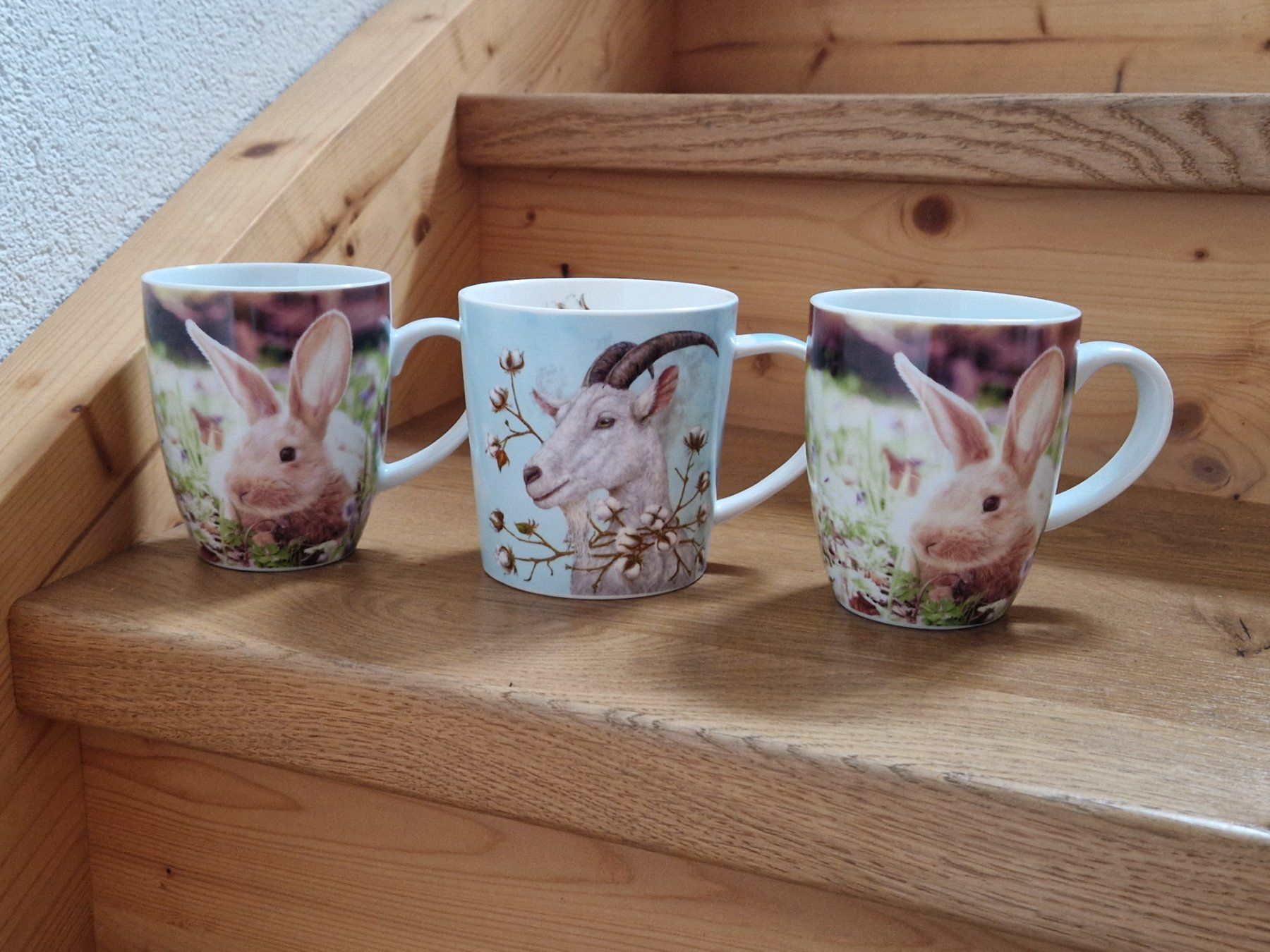 Tazze: Tassen – Usato da Hombrechtikon venduto da Vre_l9t8 2
