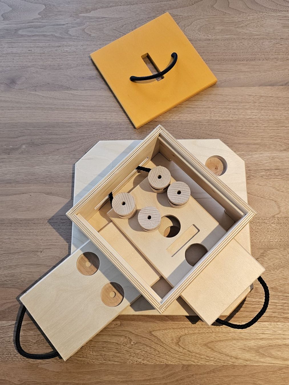 Spielzeuge: Intelligenz Spielzeug Hund Trouble – Neu (gemäss Beschreibung) aus Matzingen von C.Gfeller 2