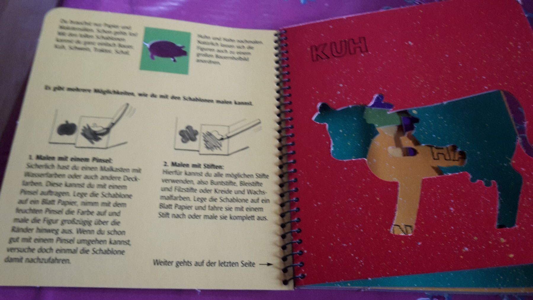 Sciablone: Schablonen Malbuch – Nuovo (secondo la descrizione) da Schwarzenburg venduto da Flamingo07 1