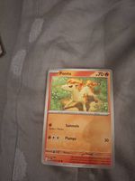 Pokemon karte 