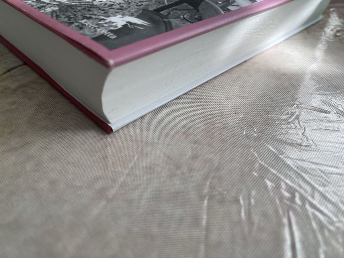 Libri: Roman: Das Mädchen im Strom von Sabine Bode – Usato da Zürich venduto da Belisimo 1