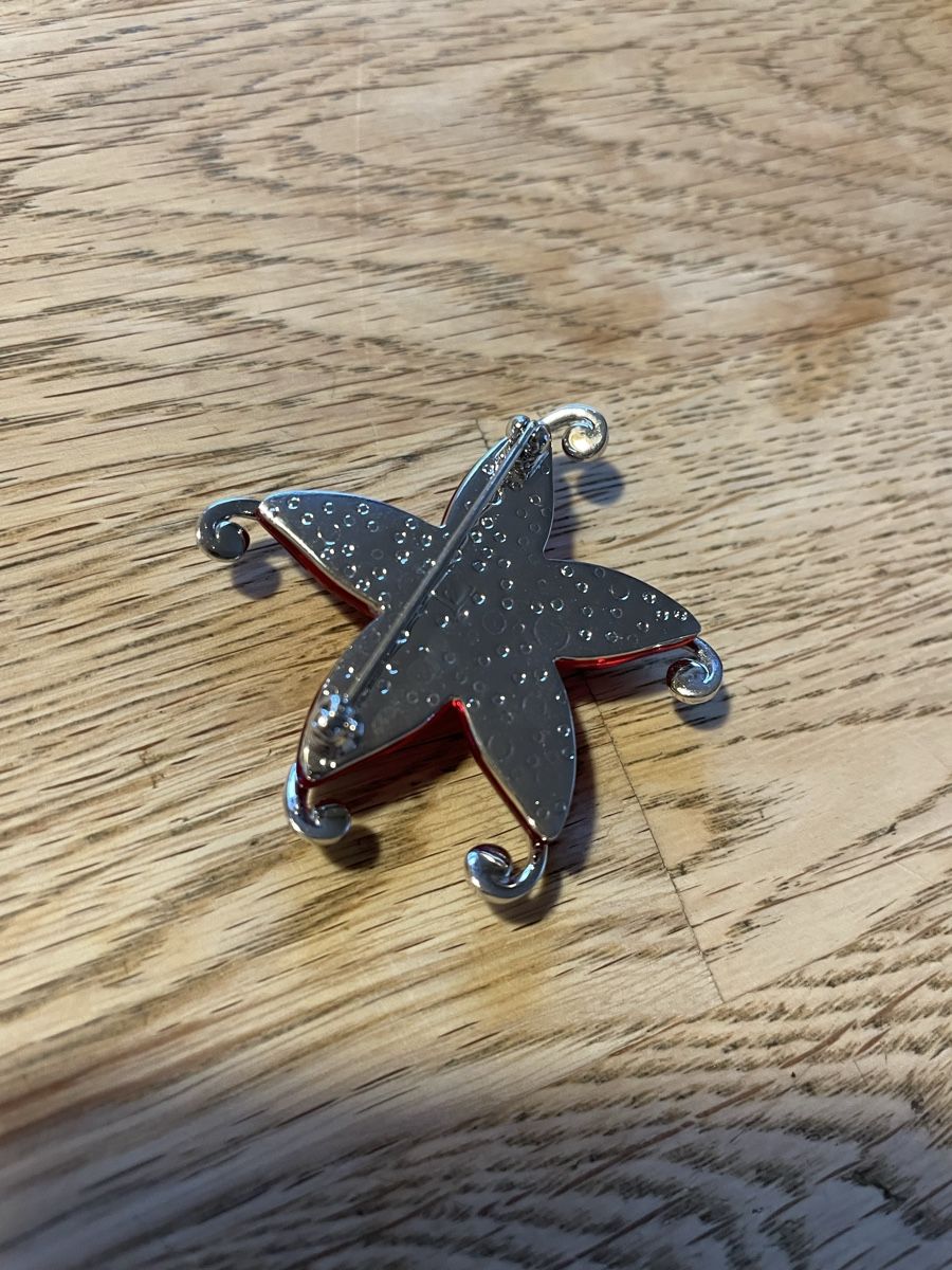 Swarovski Broches & Aiguilles: Seestern Brosche Swarovski – D'occasion à Flawil par Naphtali 1