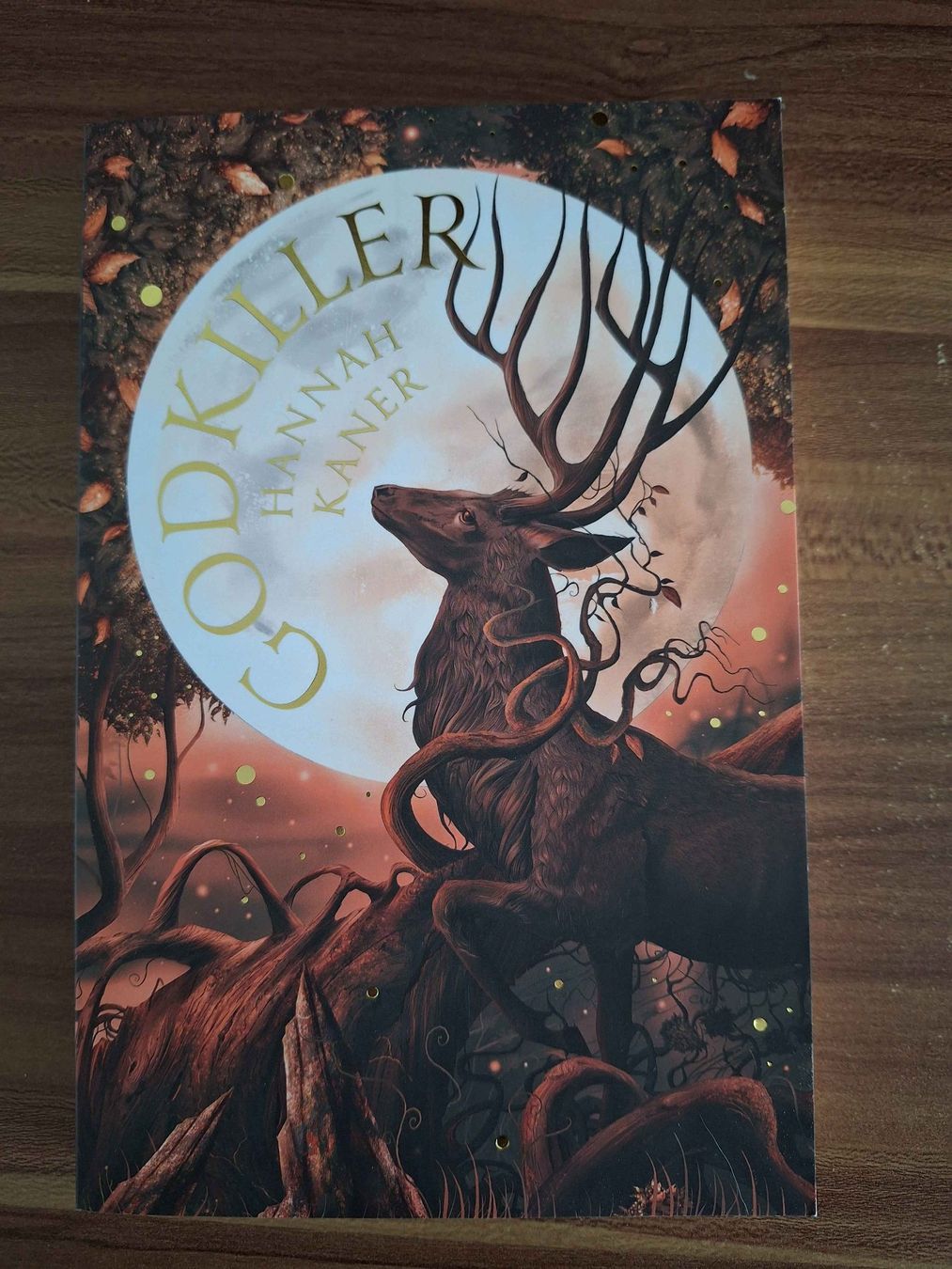 Bücher: Godkiller – Neu (gemäss Beschreibung) aus Grenchen von LadyCalis