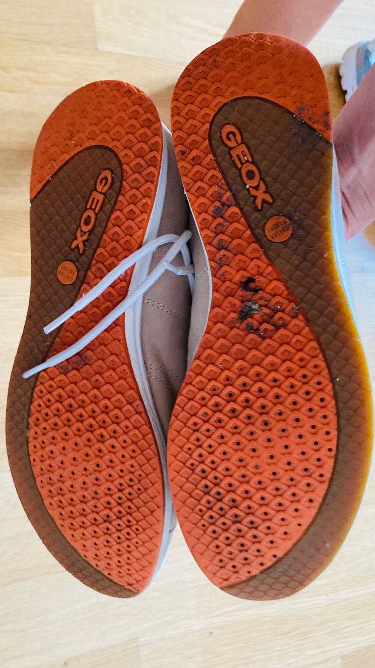 Geox Scarpe da uomo: Geox schuhe – Usato da Konolfingen venduto da Hereselfe 1