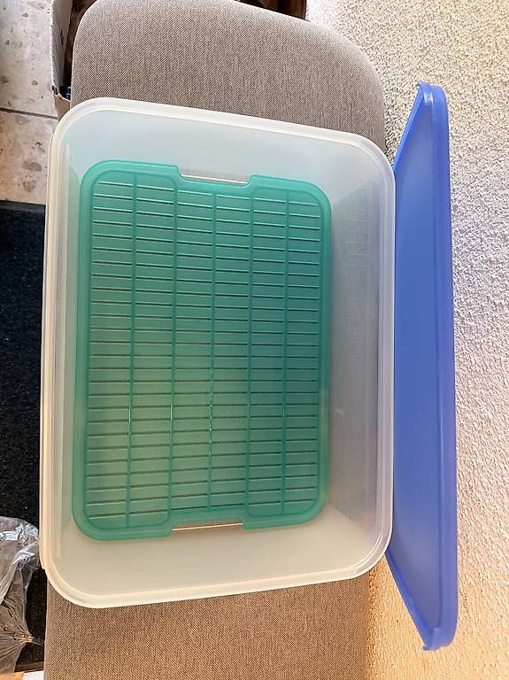 Recipients et similaires: Tupperware Frischebehälter 9,4 L neu – D'occasion à Bellikon par Schwoscht 1
