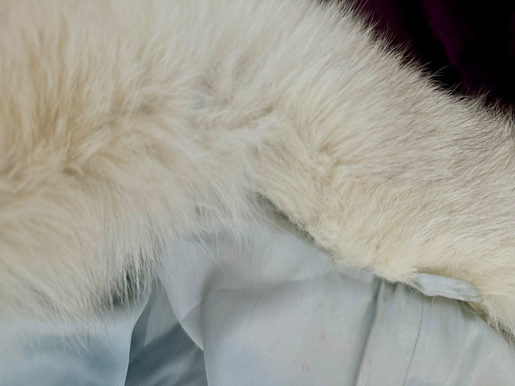 Jacken: Echt Blaufuchs Pelz – Gebraucht aus Kilchberg ZH von KellerCI 9