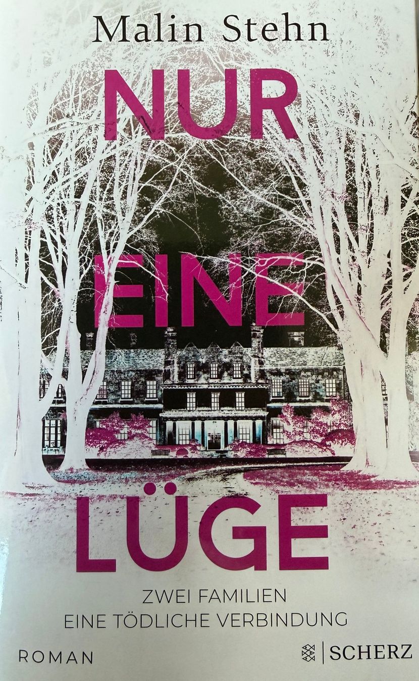 Libri: Malin Stehn - Nur eine Lüge – Usato da Zäziwil venduto da kreative-ideen
