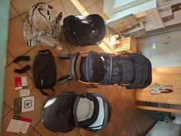 Baby go Kinderwagen Neuwertig