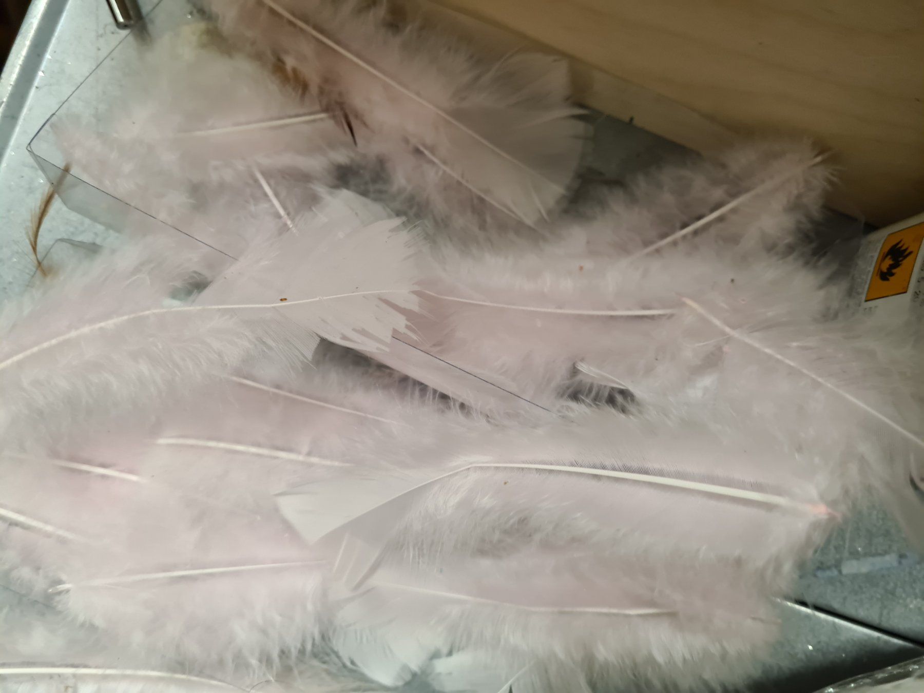 Il mondo degli animali: Box mit rosa Federn, +/- 15 cm – Nuovo e nell'imballaggio originale da Amriswil venduto da kleindeko 3