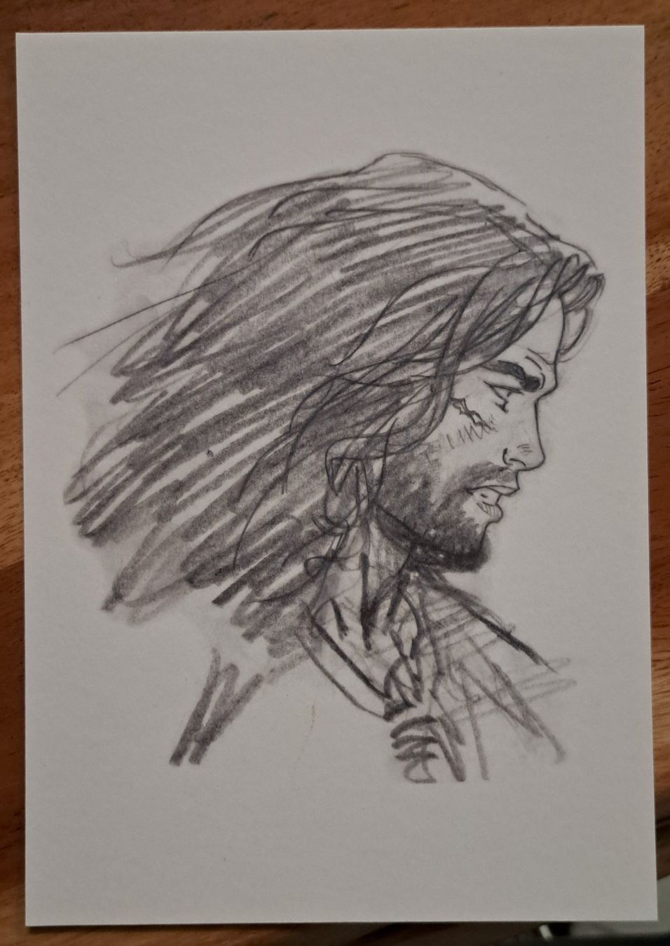 Fumetti: Ex libris Thorgal neuf, 21X15 CM – Nuovo (secondo la descrizione) da Dorénaz venduto da DaWiiD