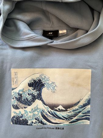 H&M Hoodie The British Museum Gr.S Top Zustand