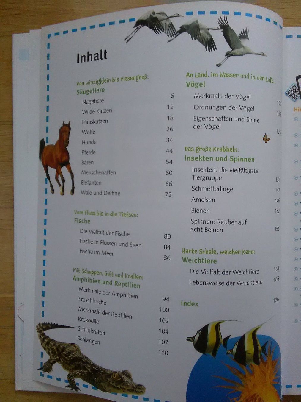 Libri: Was ist Was - Wunderbare Welt der Tiere – Usato da St.Galllen venduto da elkaphone 4