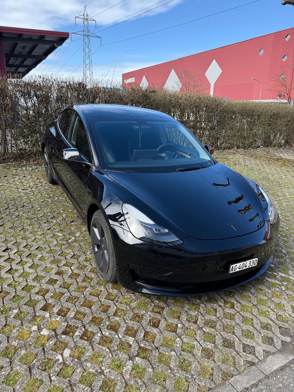 Tesla Automobili: Tesla Model 3 2021 Facelift – Usato da Dintikon venduto da bes_96 5