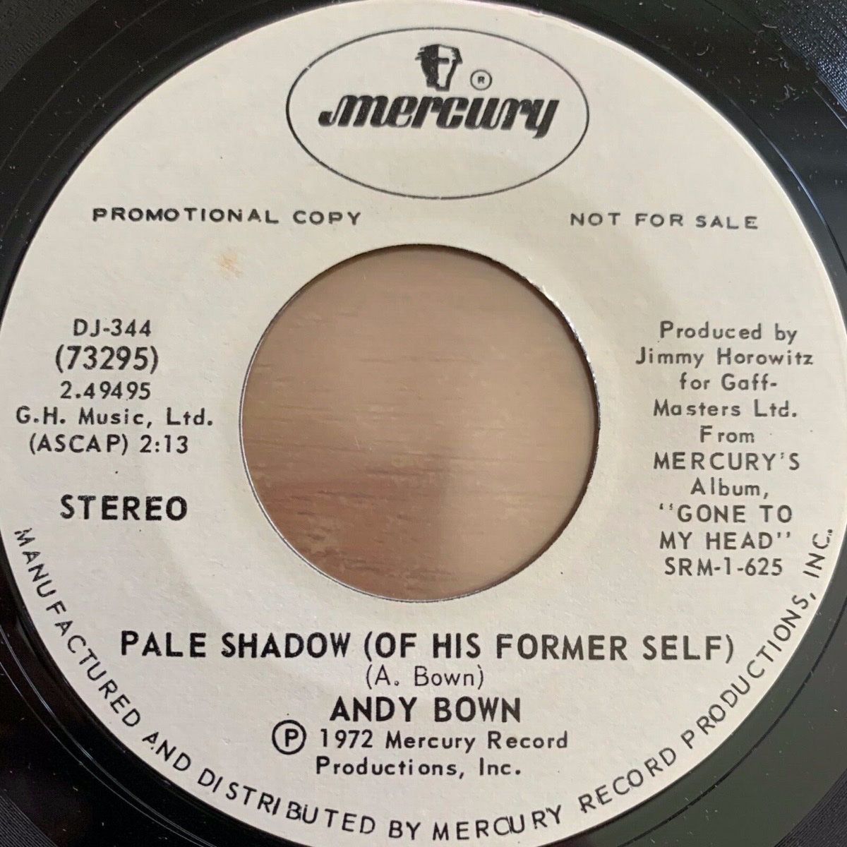 Dischi in vinile: Andy Bown - Pale Shadow / US-Promo 1972  - TOP – Usato da Gais venduto da soundcave57