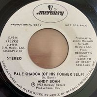 Andy Bown - Pale Shadow / US-Promo 1972  - TOP
