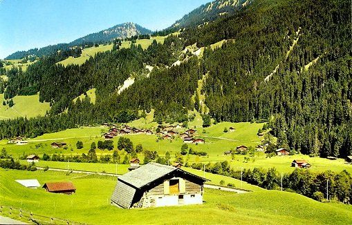 Cartes postales: ZWEISIMMEN Grubenwald – Neuf (Voir description) à Jona par philajona
