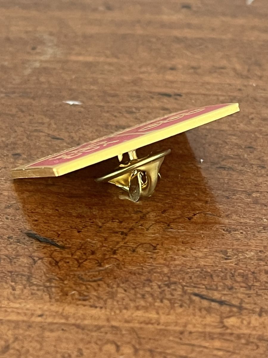 Placchette & Badge: Youth Olympic Games official Pin – Nuovo e nell'imballaggio originale da Ipsach venduto da simonerig77 1