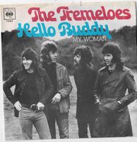 The Tremeloes Hello Buddy My Woman