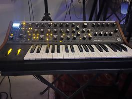 Moog Sub 37