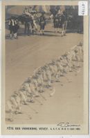 Fete des Vignerons - Vevey Aout 1905 - Die Sensemänner