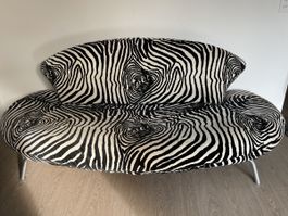 Designer Zebra Sofa