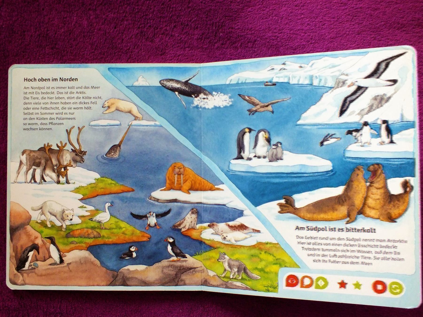 Bücher: tiptoi Buch - Bilderlexikon Tiere – Gebraucht aus Müllheim Dorf von Seeeule01 5