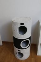 Katzenbaum