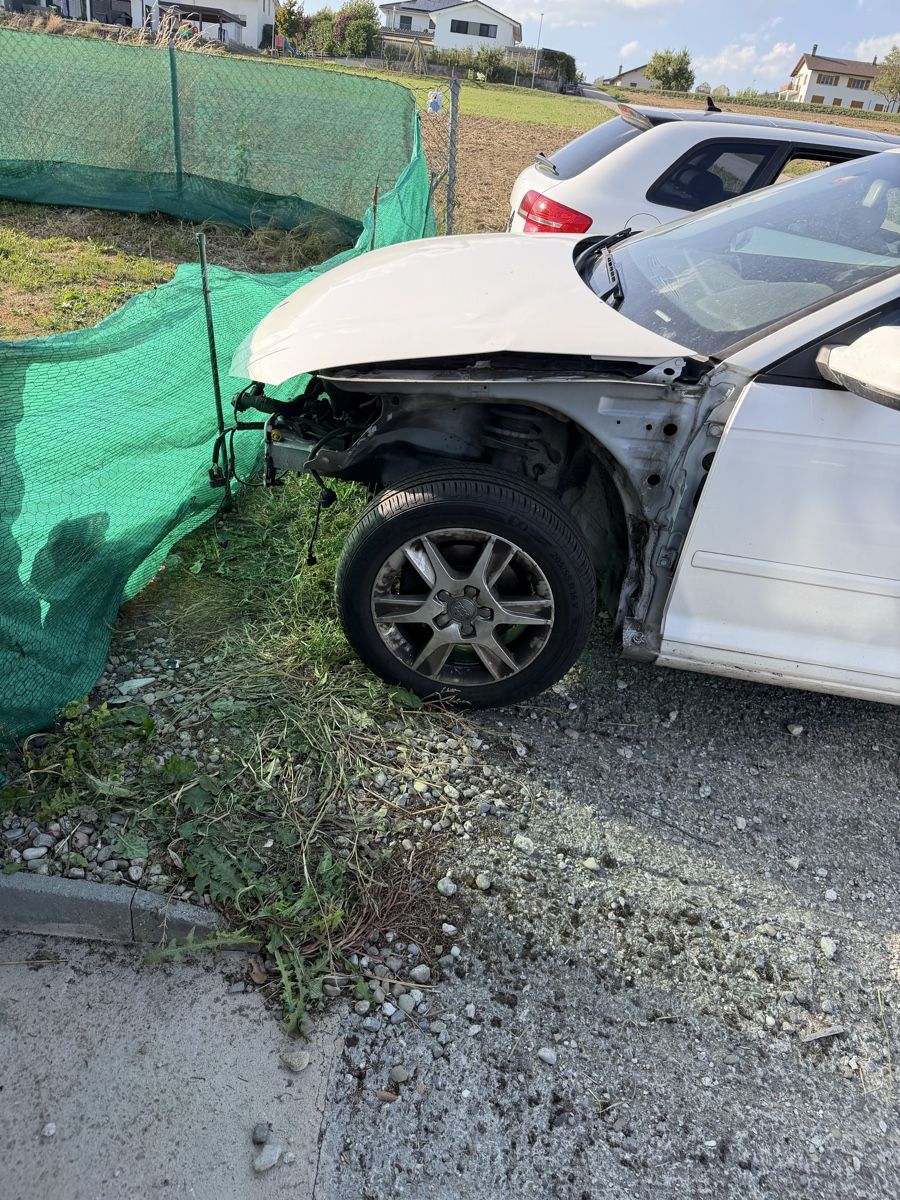 Audi Tutti pezzi di ricambio auto: Audi a3 8p – Difettoso da Morens FR venduto da Abiulense3100 6