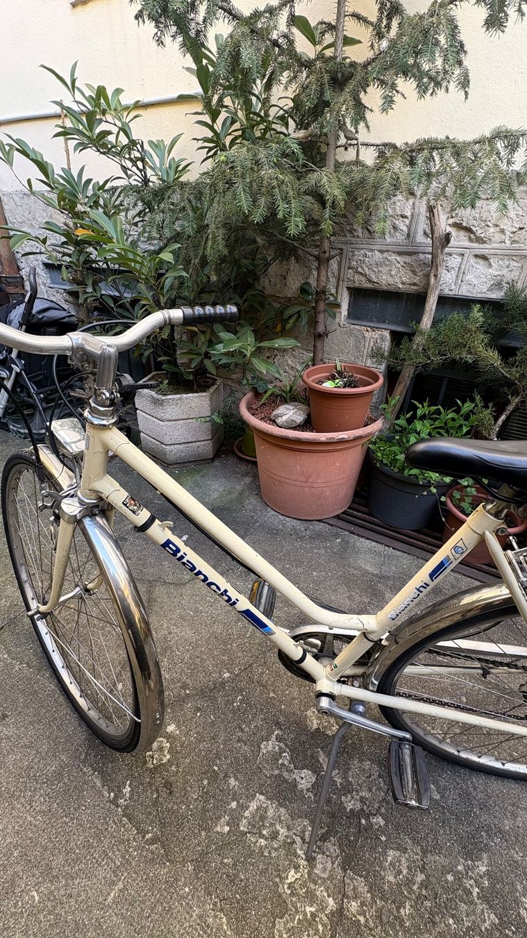 Bianchi Biciclette: Vélo de ville Bianchi – Usato da Genève venduto da deb_pl98 1