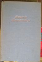 "Einsam in Himmelshöhen" - Seltenes Buch, Schweizer Druck!