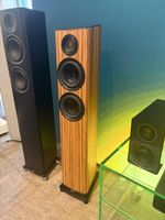 Elac FS 407.2 Vela Sonderfarbe Zebrano