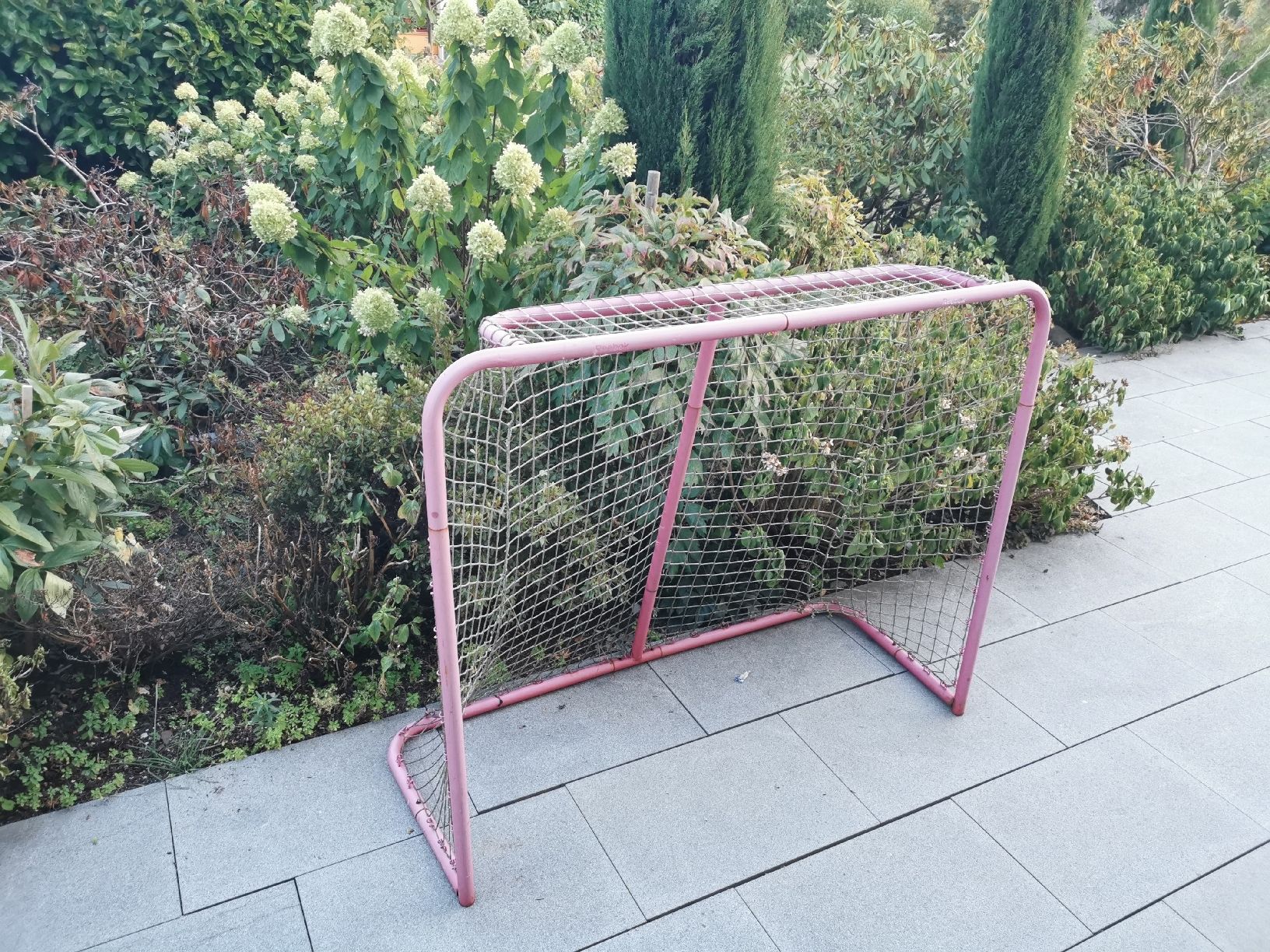 Porte da calcio e da hockey: Goal/Tor von Reebok – Usato da Oberwil-Lieli venduto da mik_ypt6