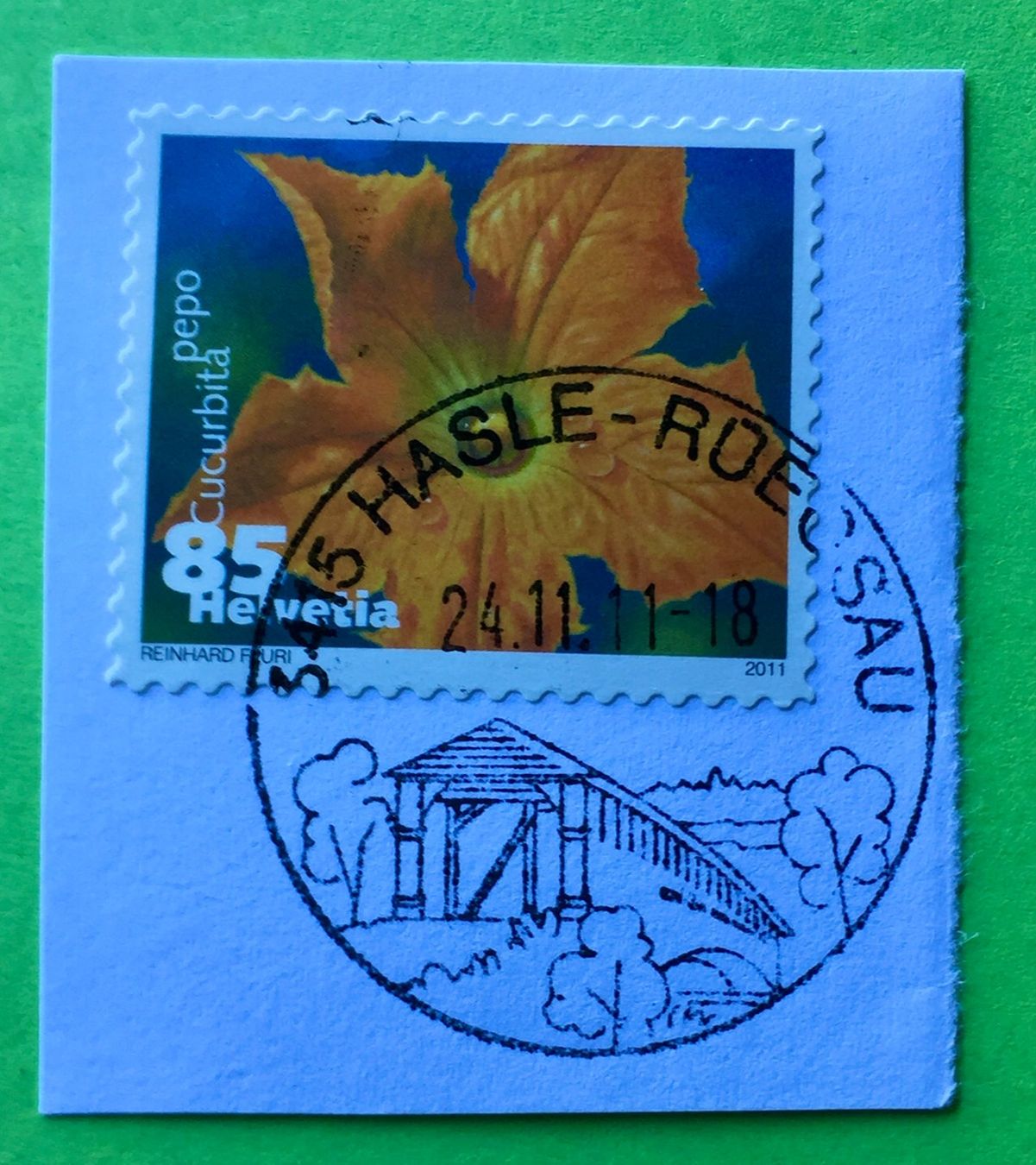 Tutti i francobolli: Nr.1376 Dauermarken Gemüseblüten 2011 mit Stempelt Zucchini – Usato da Aarau venduto da Billa007