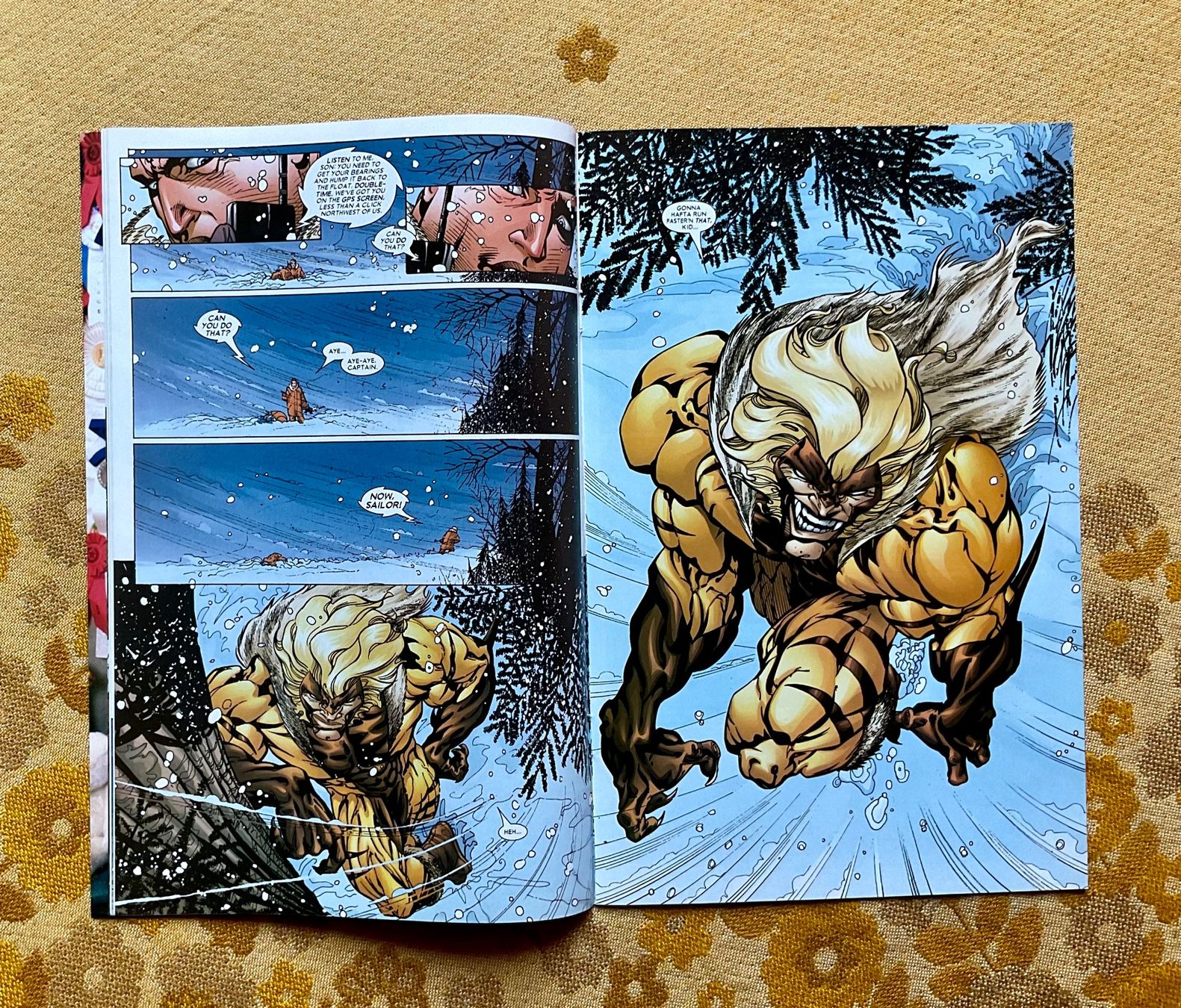 Fumetti: Sabretooth Heft Nr 3 von 2005 ENGLISCH – Usato da Endingen venduto da nathan05 3