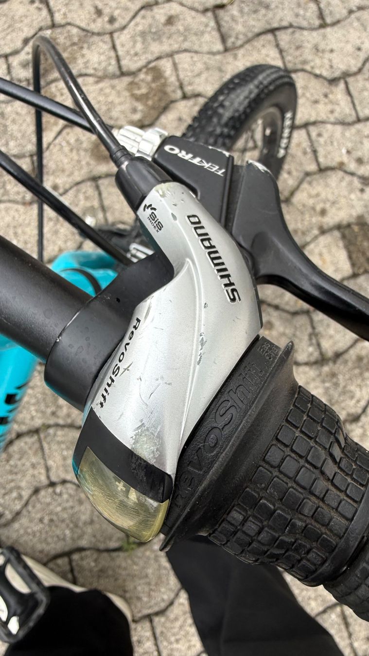 Naloo Biciclette: Naloo Kindervelo – Usato da Wetzikon ZH venduto da jon_gw8f 7