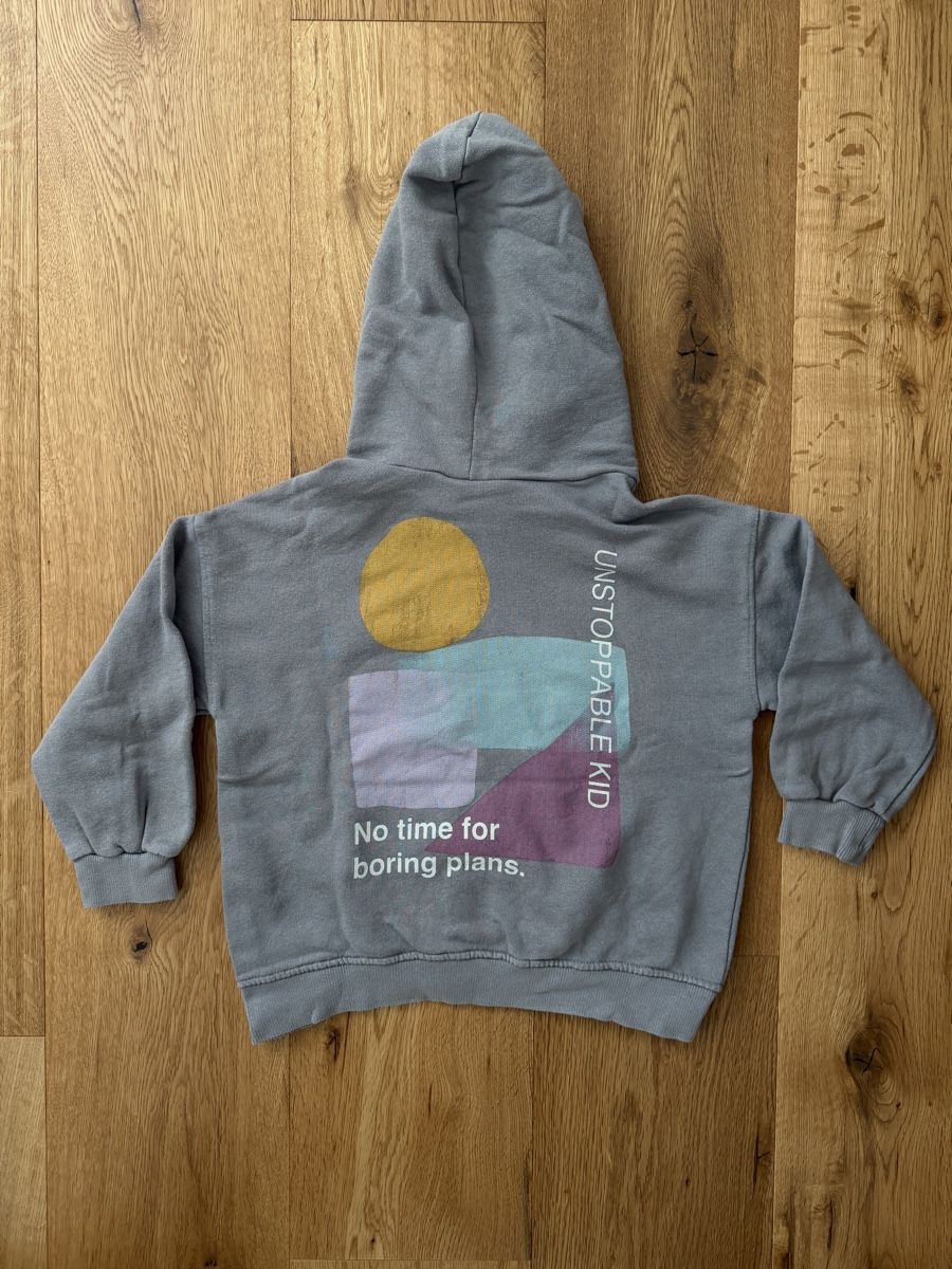 Zara Maglioni & Felpe: Zara Kids - Pullover, Gr. 110 – Usato da Interlaken venduto da fbnscl 2
