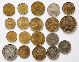 19 x Maroc