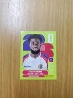 Panini WM 2026 Sticker - HAI 3