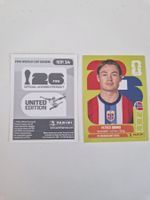 Panini Sticker NOR14