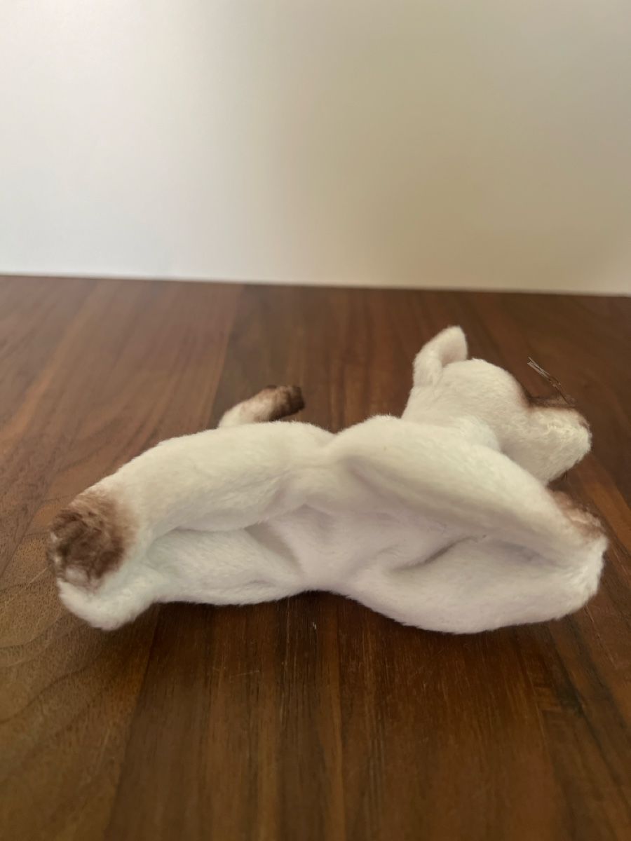 Jouets: Kleine Plüschtier Magnet Siam Katze – D'occasion à Altdorf UR par JanAil 2