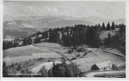 Ausblick vom Pfänder